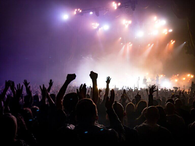 audience at a concert