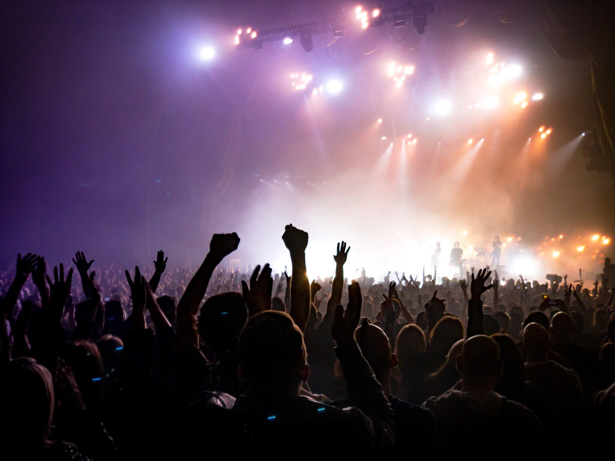 audience at a concert